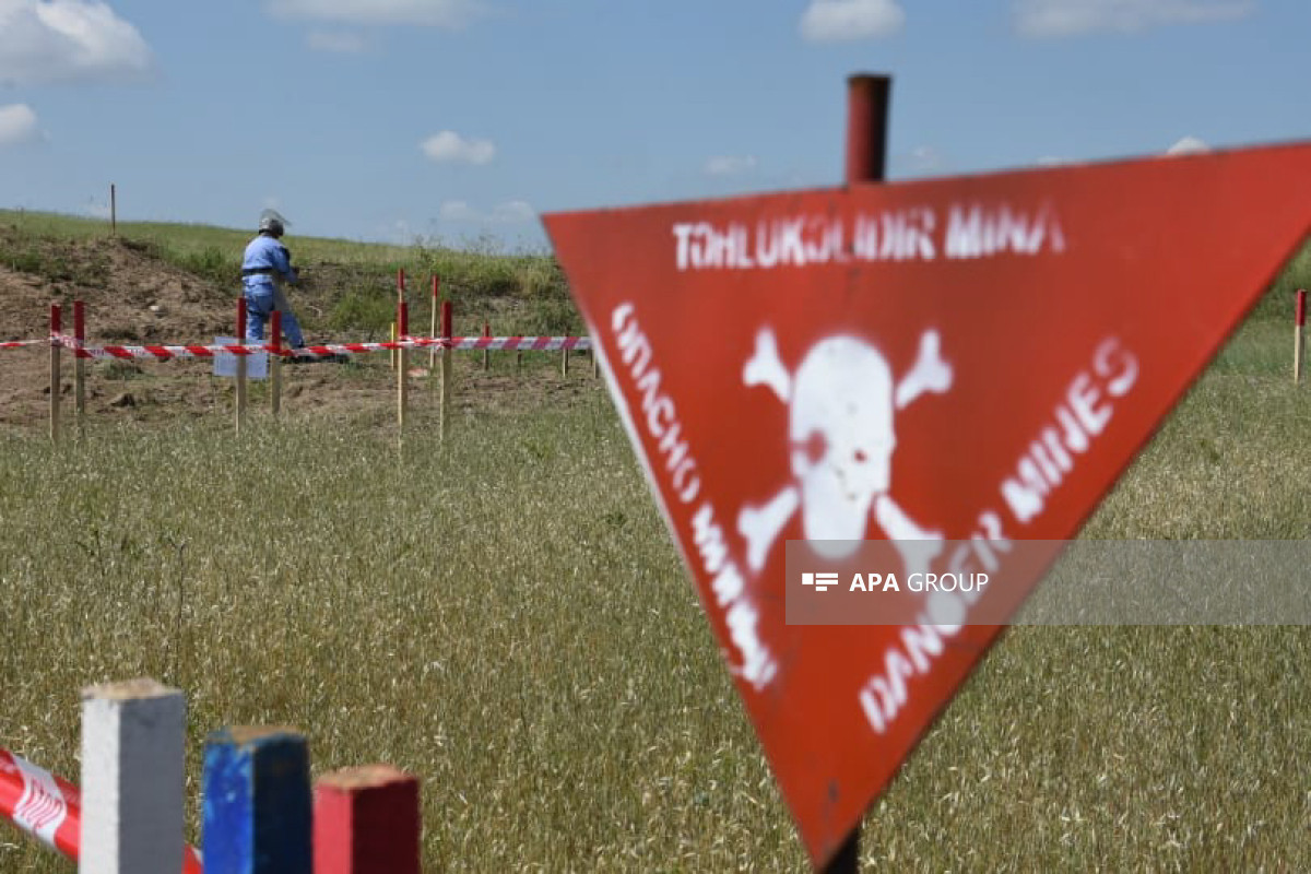 На освобожденных территориях Азербайджана выявлено и обезврежено более 110 тысяч мин и НБ