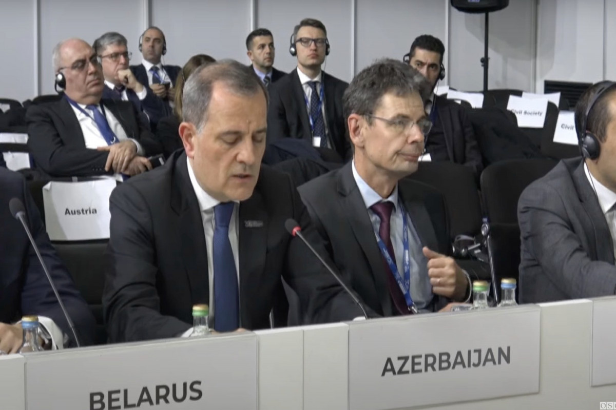 Глава МИД Азербайджана на заседании ОБСЕ рассказал о факторах, обусловливающих антитеррористические меры