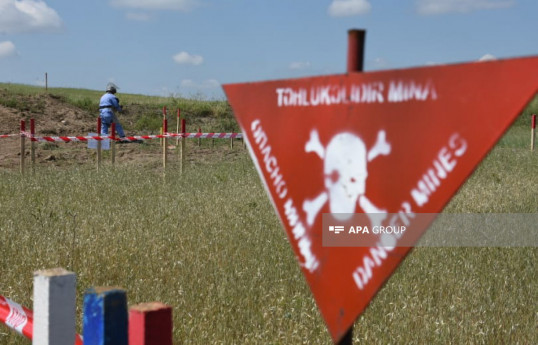ANAMA: Ermənistanın mina istehsalçısı olduğu təsdiqlənib