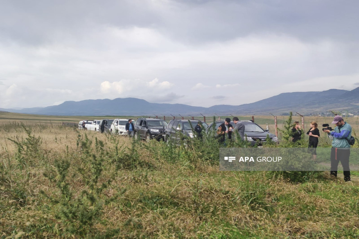 Xarici media nümayəndələri Xocalıda narkotik plantasiyasının aşkarlandığı əraziyə gəlib - FOTO 
