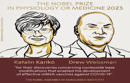 Fiziologiya və ya tibb üzrə Nobel mükafatının qalibləri elan olunub