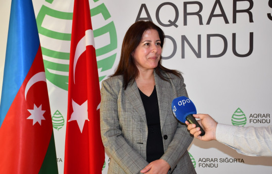 SEDDK: Türkiyədə Azərbaycanın icbari avtosığorta modelini tətbiq etmək istəyirik