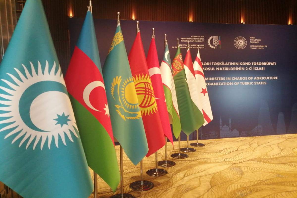 Заместители министров иностранных дел стран-членов ОТГ встретятся в Стамбуле