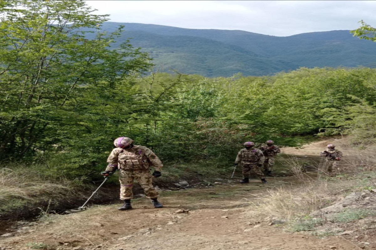 Following anti-terrorist measures in Garabagh, the areas being checked inch by inch - Azerbaijani MIA