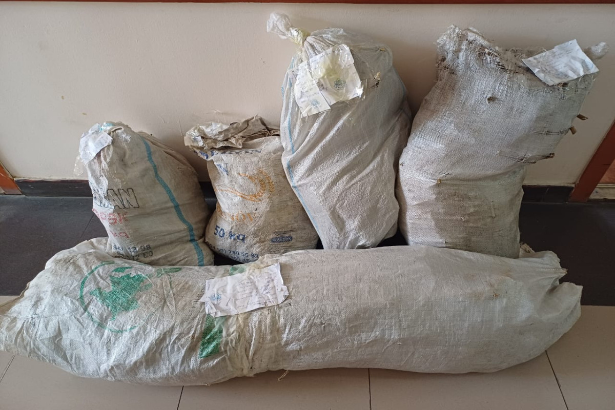 Ağcabədidə 9 kiloqramdan artıq marixuana, çətənə kolları aşkarlanıb