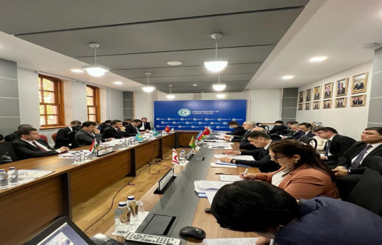 TDT XİN rəhbərlərinin müavinləri İstanbulda siyasi məsləhətləşmələr keçirib