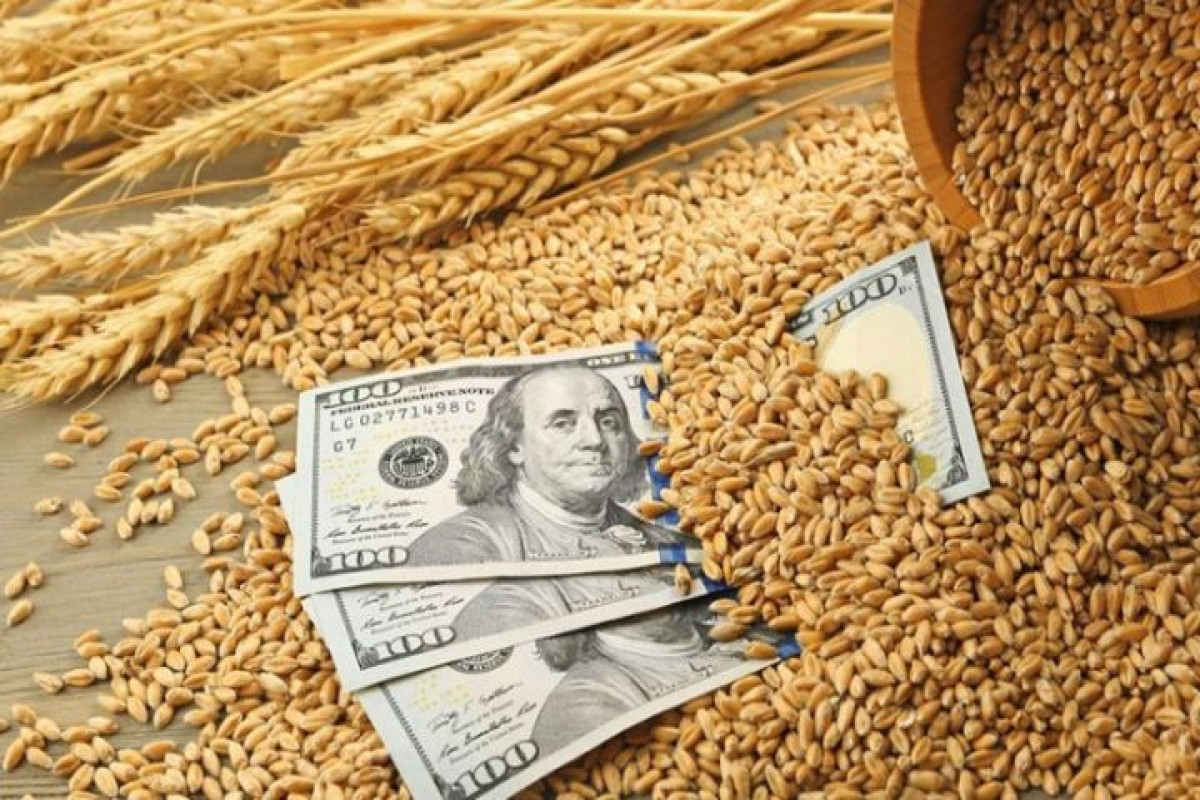 Azərbaycana idxal edilmiş ərzaqlıq buğdanın orta qiyməti 32% azalıb