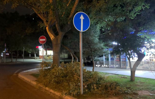 Bakıda ağac paytaxt sakinin üzərinə düşərək onu komatoz vəziyyətinə salıb - FOTO  - VİDEO 
