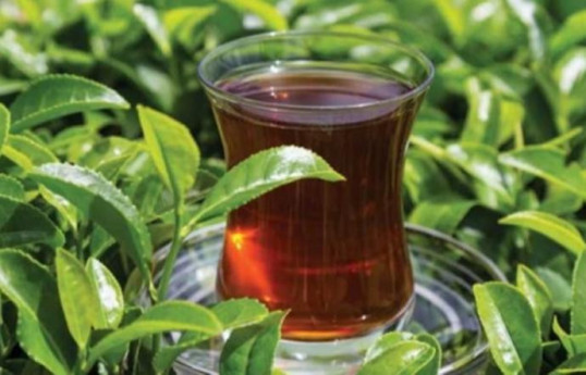 Azərbaycanın çay idxalı ixracını 19 dəfə üstələyib