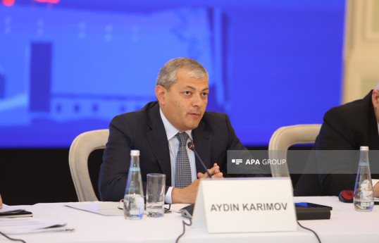 Aydın Kərimov: Şuşanın cənub massivində yaşayış kompleksi hazırdır