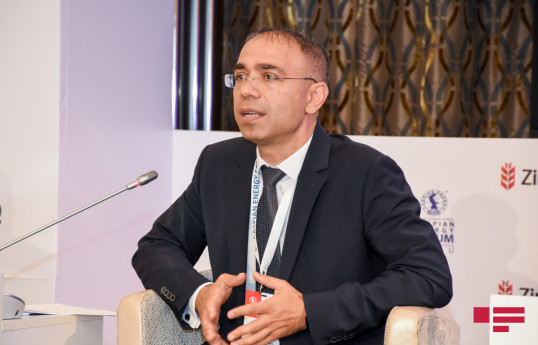 Nazir müavini: Qarabağda istehlak olunacaq bütün enerji yaşıl mənbəli olacaq