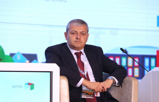 Aydın Kərimov: Daşaltıda əsas tikinti işlərini özəl investorlar aparacaq