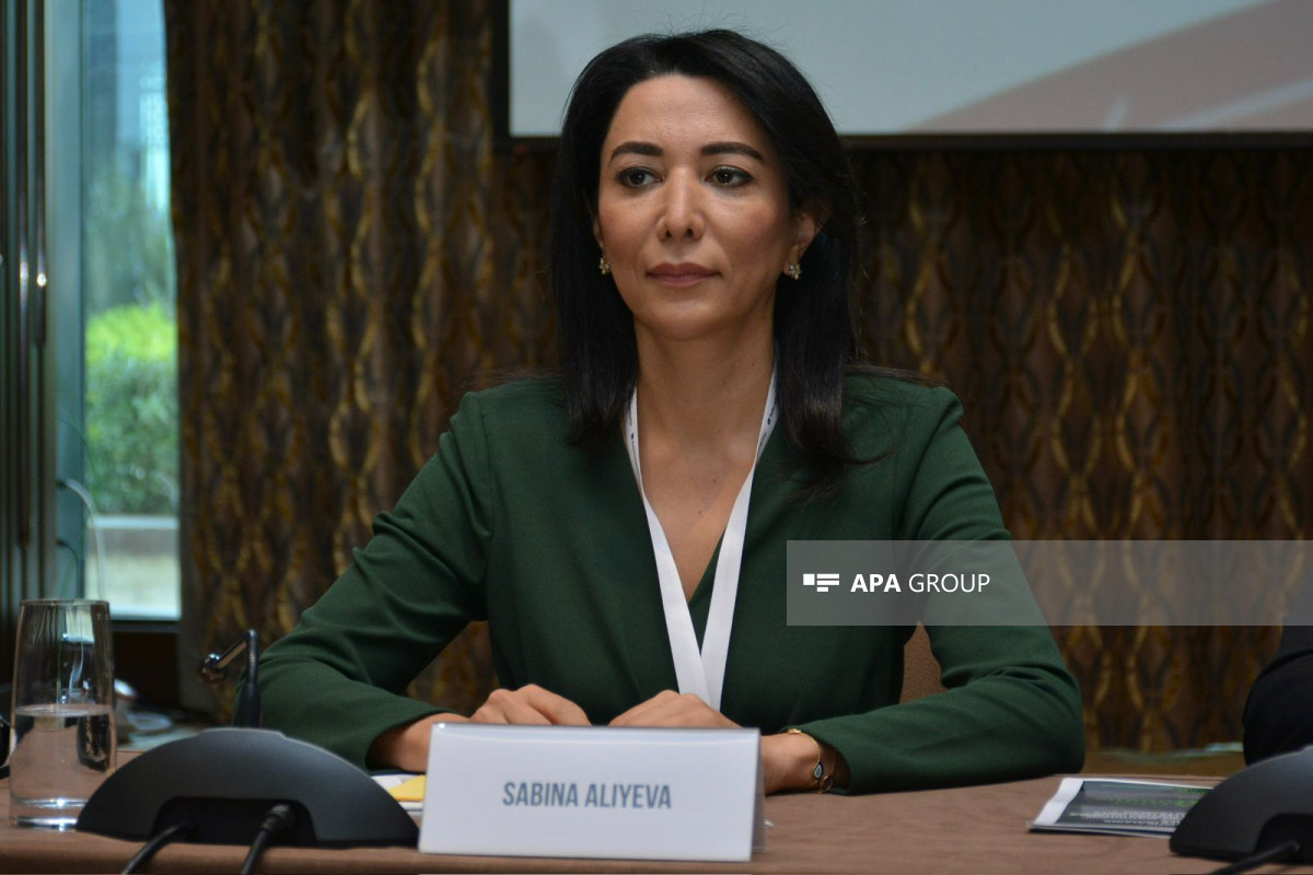Ombudsman: Fransanın etdikləri Cənubi Qafqazda dayanıqlı sülhə xidmət etmir