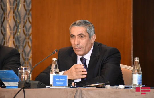 Siyavuş Novruzov: Naxçıvana uçuşlar dövlət büdcəsi hesabına qarşılansın