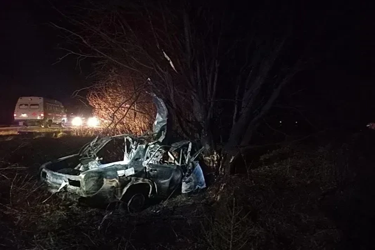Rusiyada avtomobil ağaca çırpılıb, dörd nəfər ölüb