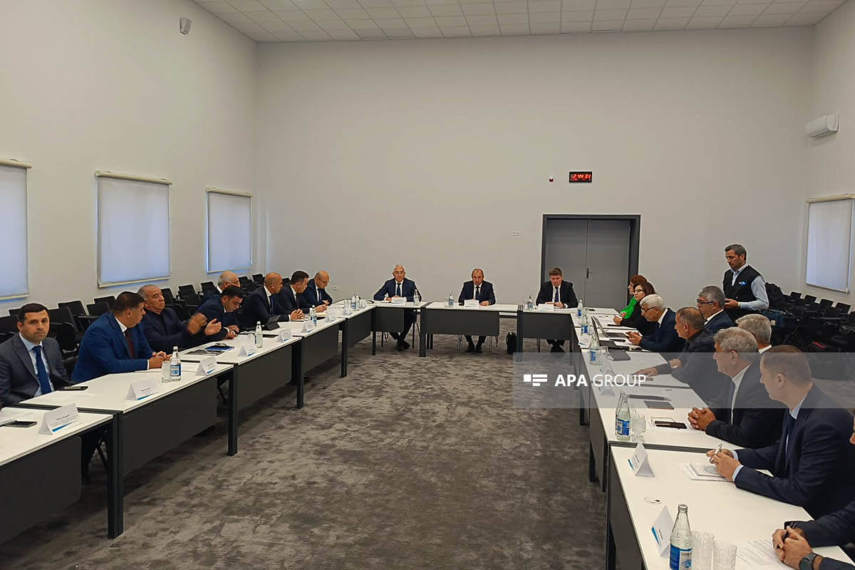 Laçında 130 hektar ərazidə yeni meşə zolağının salınması planlaşdırılır