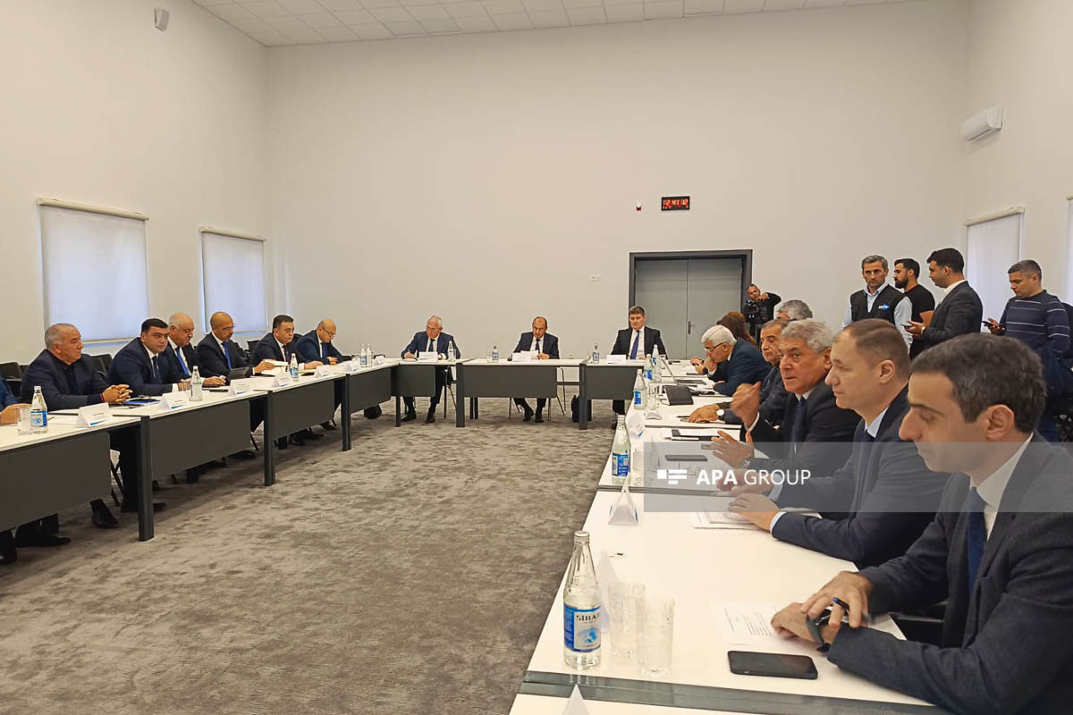 İşğaldan azad edilmiş ərazilərdə 124 mindən çox ağac tingi əkilib