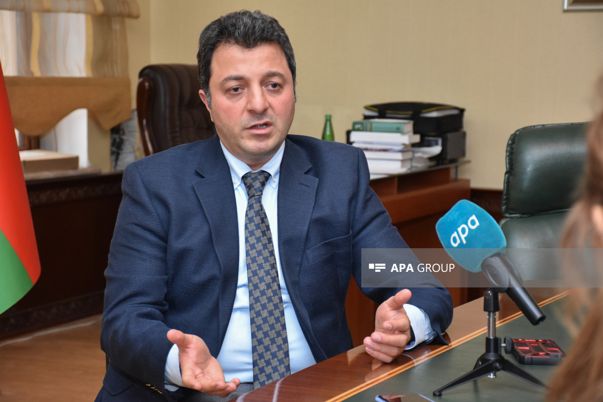 Deputat: Fransa və Ermənistan arasında müqavilə regionda balansın pozulmasına gətirib çıxaracaq