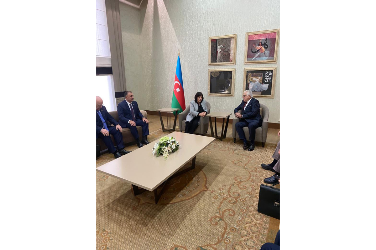 Sahibə Qafarova Türkiyəyə səfər edib