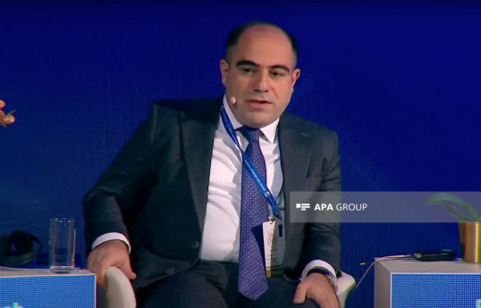 Nazir müavini:  Azərbaycandan qaz və elektrik xətlərinin kəsilməsi Ermənistan üçün sarsıdıcı hadisə idi