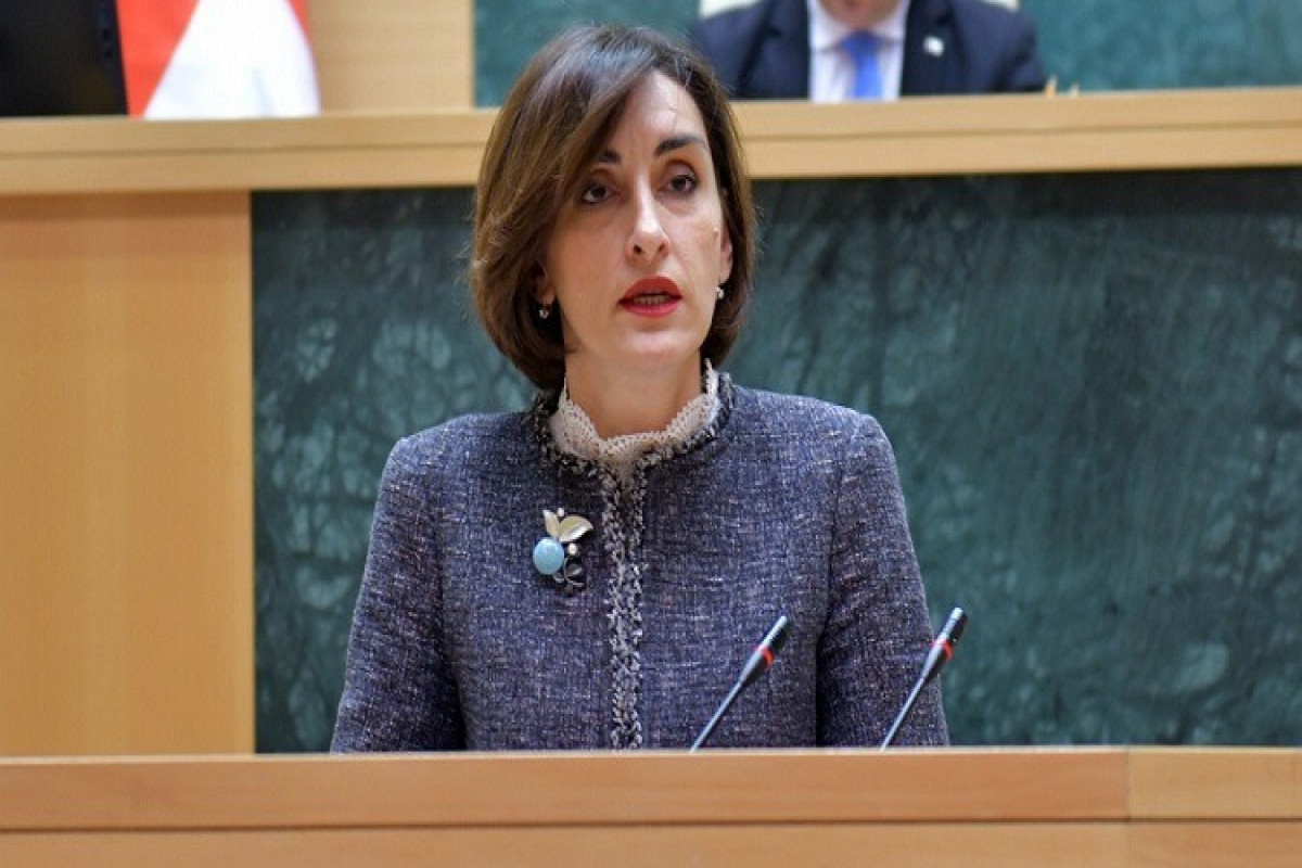 Komitə sədri: Gürcüstan regionda sülhün təmin edilməsində rol oynayıb və oynayacaq