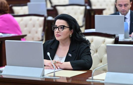 Deputat: Yaşıl enerjiyə keçid enerji təhlükəsizliyi və ixracına mühüm töhfə verəcək
