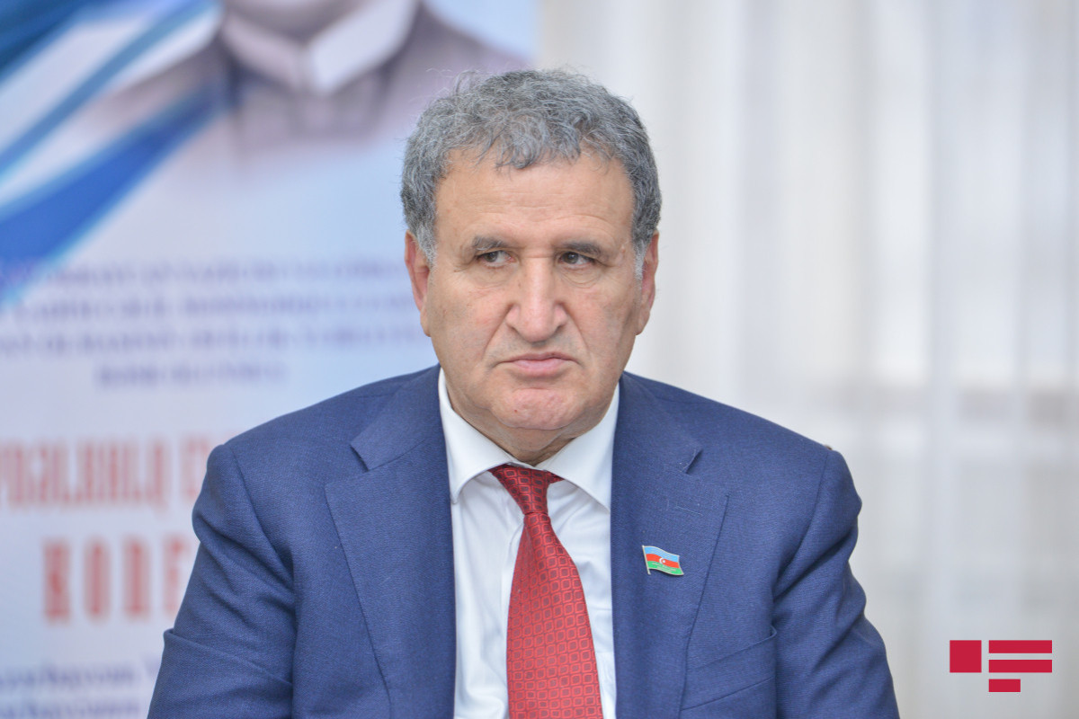 AMEA prezidenti: Ermənilər Qərbi Azərbaycanda 449 kəndi tarixdən siliblər