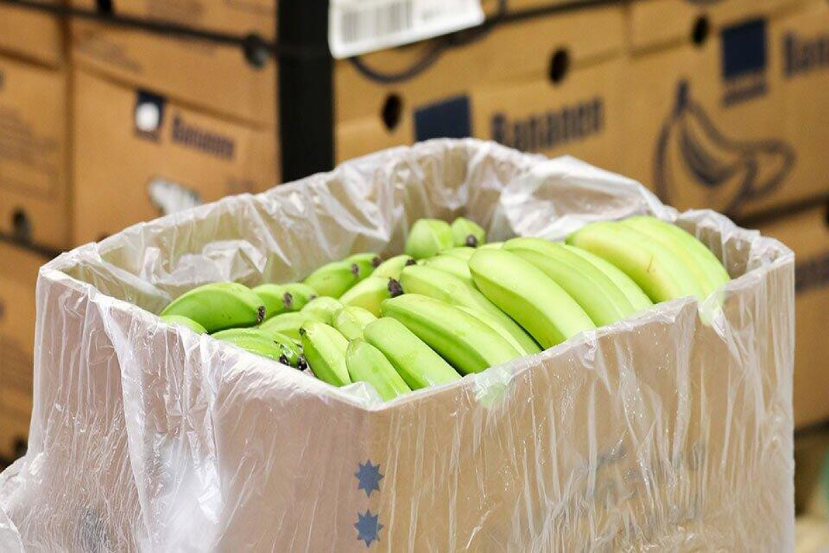 В Эквадоре обнаружили 56 компаний, переправлявших в Европу наркотики под видом бананов
