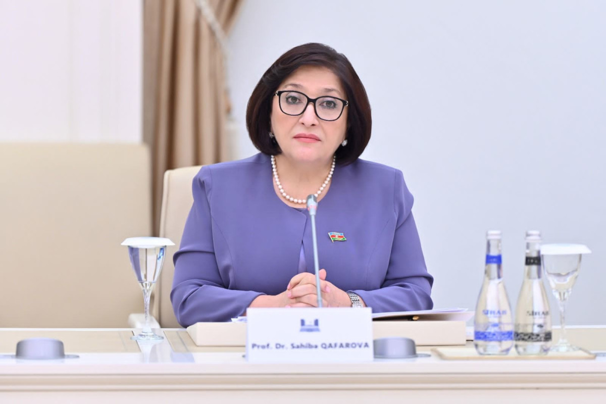 Sahibə Qafarova Slovakiya Milli Şurasının sədri ilə görüşüb