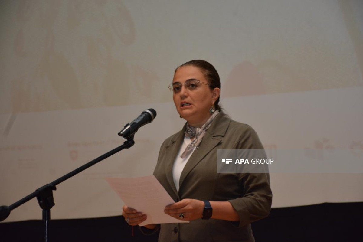 Azərbaycanda animasiya məktəbləri yaradılacaq