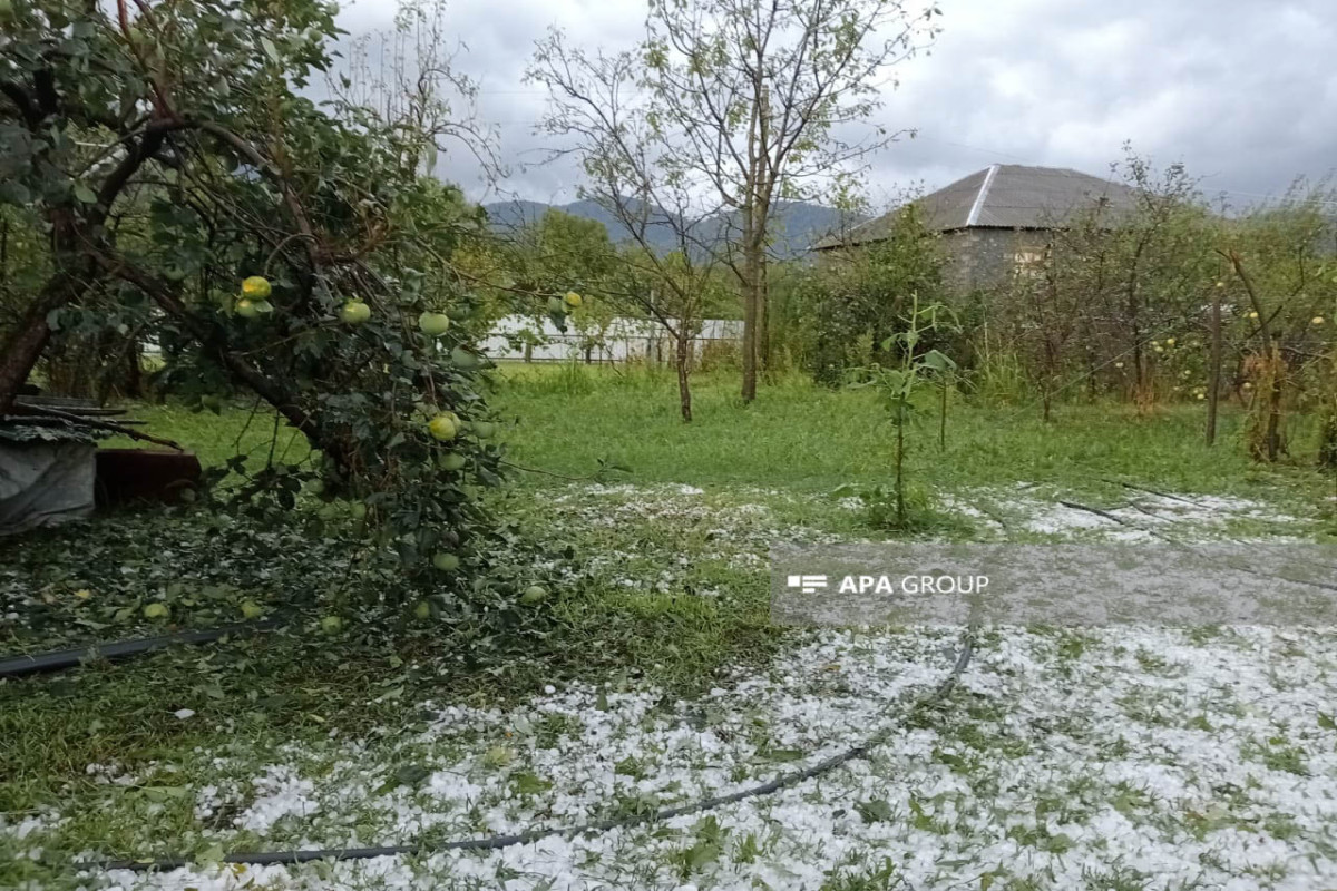 Zaqatalaya dolu düşüb, elektrik enerjisnin verilişində məhdudiyyətlər yaranıb - FOTO  - VİDEO 