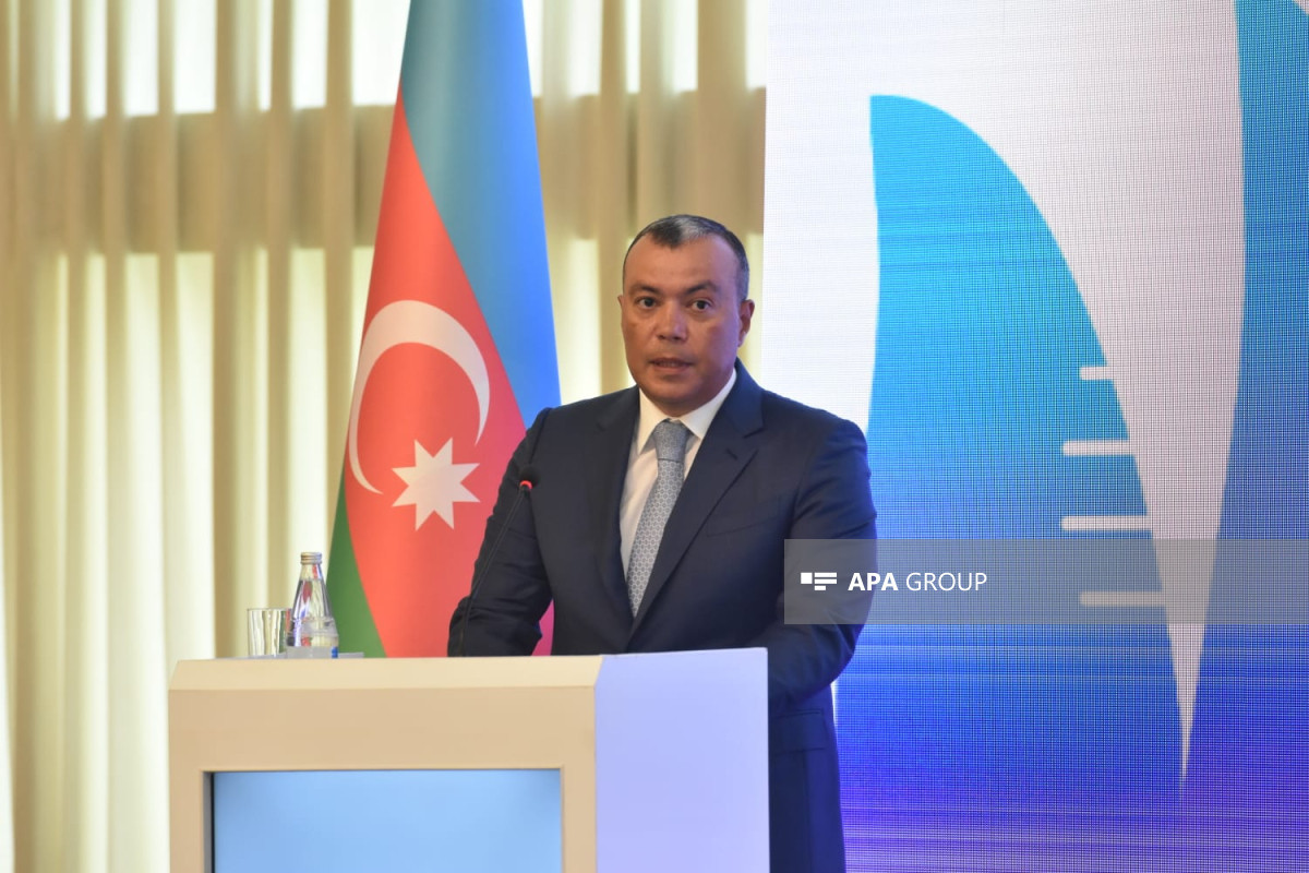 Azərbaycanda sosial xidmətlər sahəsində beynəlxalq konfrans keçirilir - FOTO 