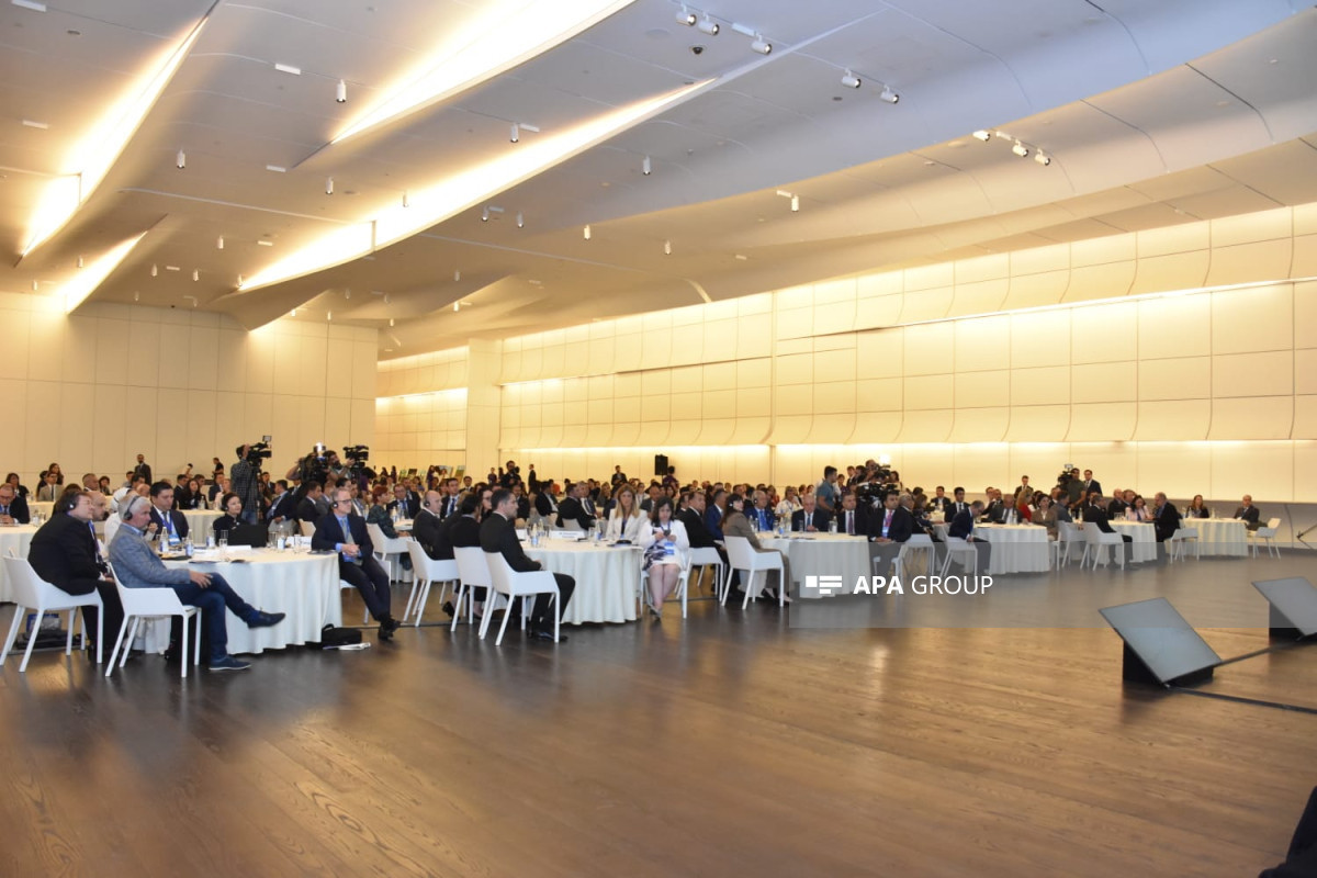В Азербайджане проходит международная конференция в сфере социальных услуг-ФОТО 