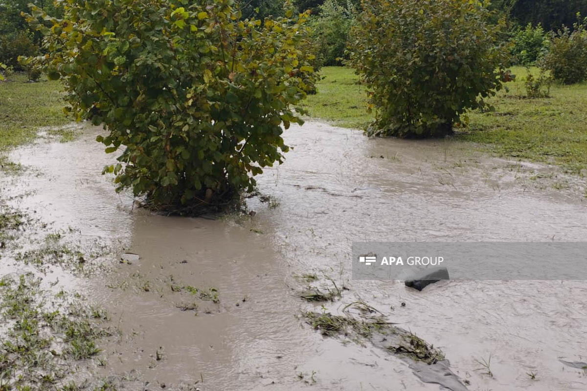 Проливные дожди нанесли ущерб в Огузском районе -ФОТО 