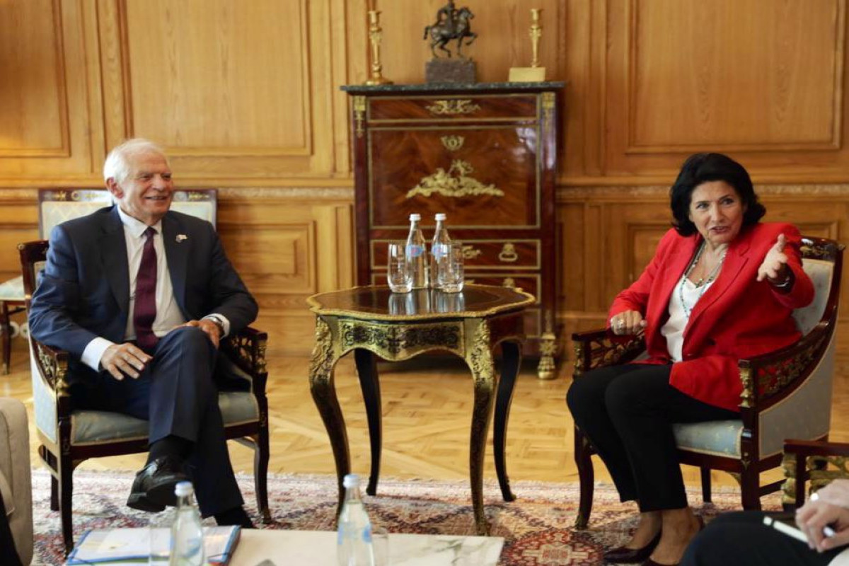 Borrell discussed EU integration with Georgian President