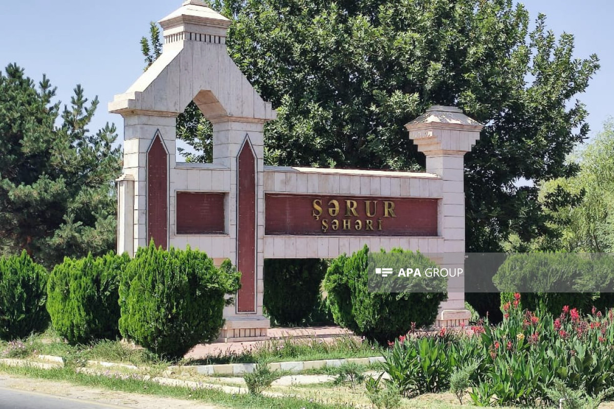 Şərur rayon icra başçısının müavini işdən azad olunub