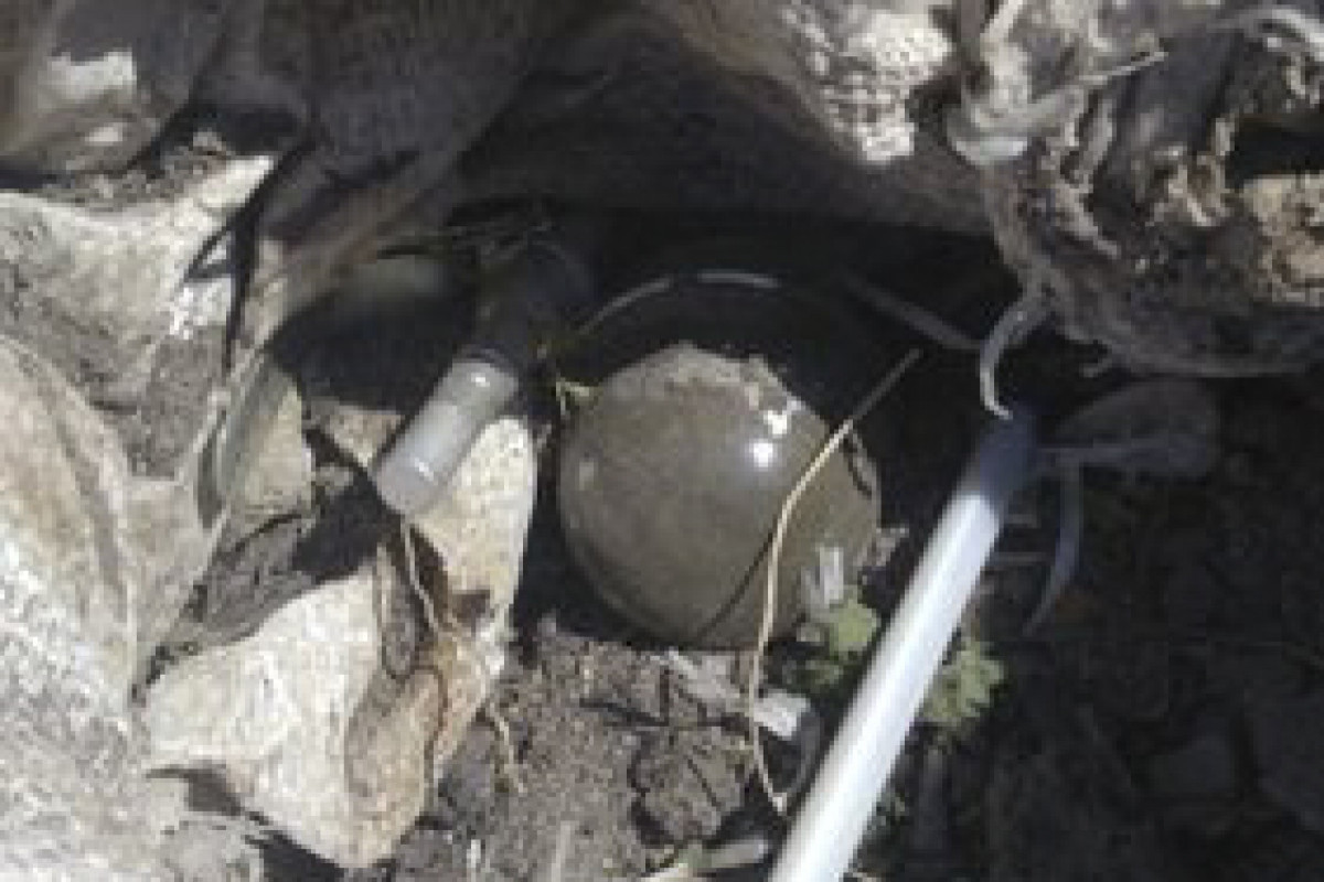 В Баку найдены спрятанные на кладбище миномет, граната и боеприпасы
