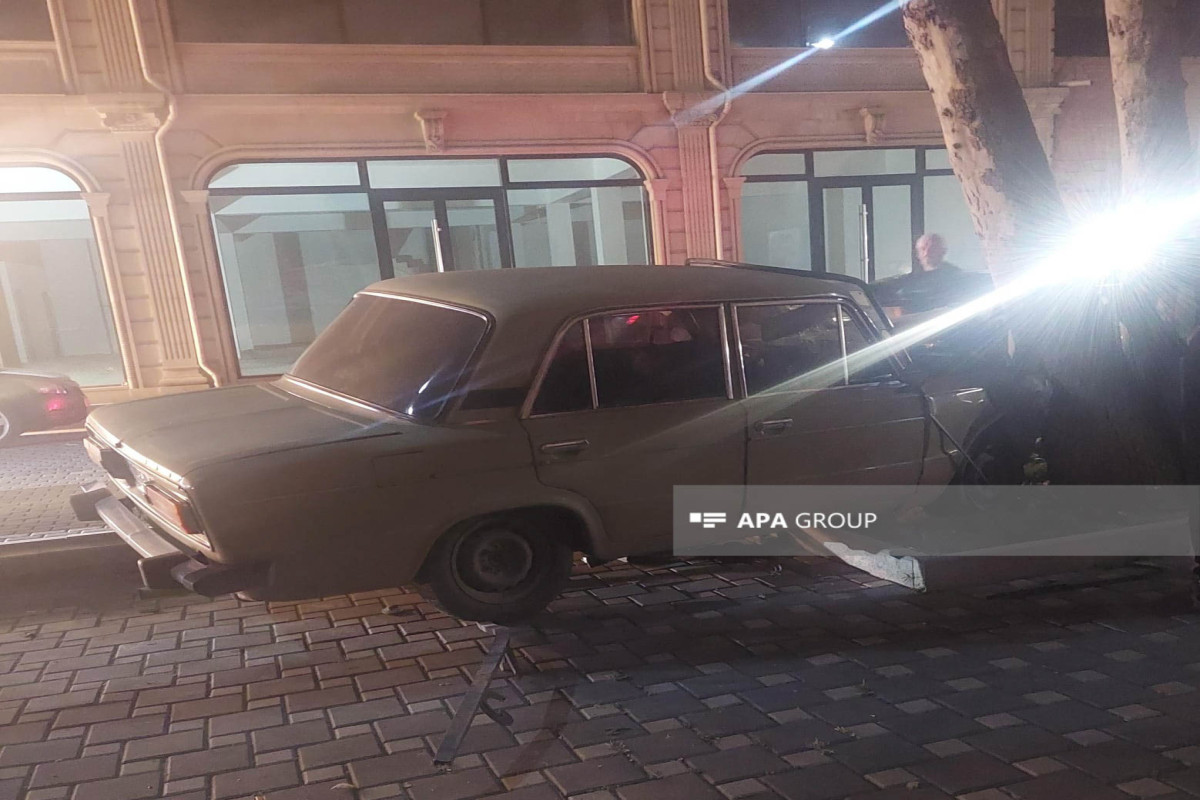 Gəncədə minik maşını ağaca çırpılıb - FOTO 