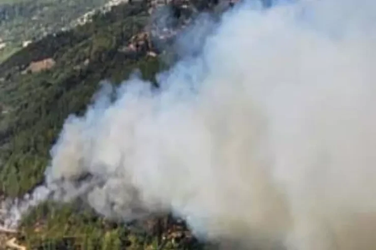 Türkiyədə Antalya ərazisində meşədə yanğın başlayıb