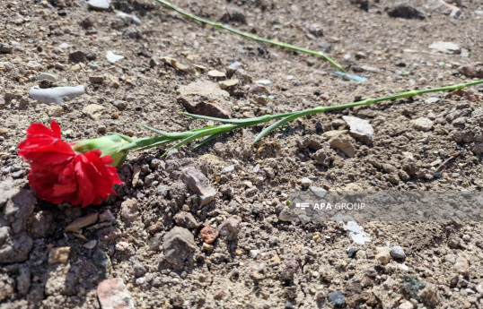 Taleyi müəyyən olunmuş daha 10 itkin şəhidin adları açıqlanıb - SİYAHI 