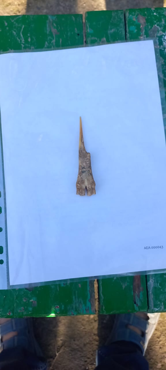 В Хачмазе найдены человеческие останки, датируемые III тысячелетием до н.э. -ФОТО 