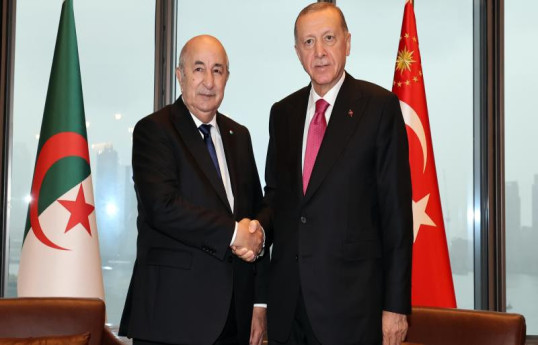 Ərdoğan Əlcəzair prezidenti ilə görüşüb
