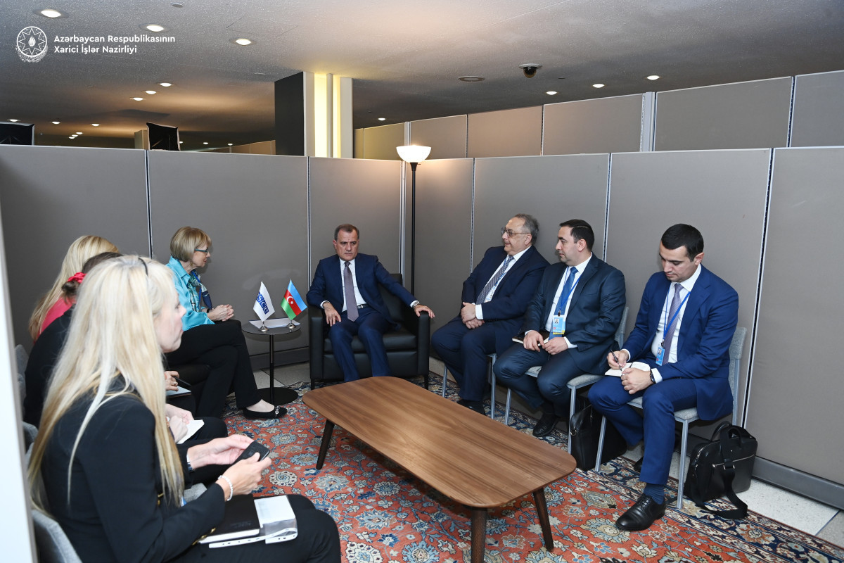 Джейхун Байрамов встретился с Генеральным секретарем ОБСЕ-ФОТО 