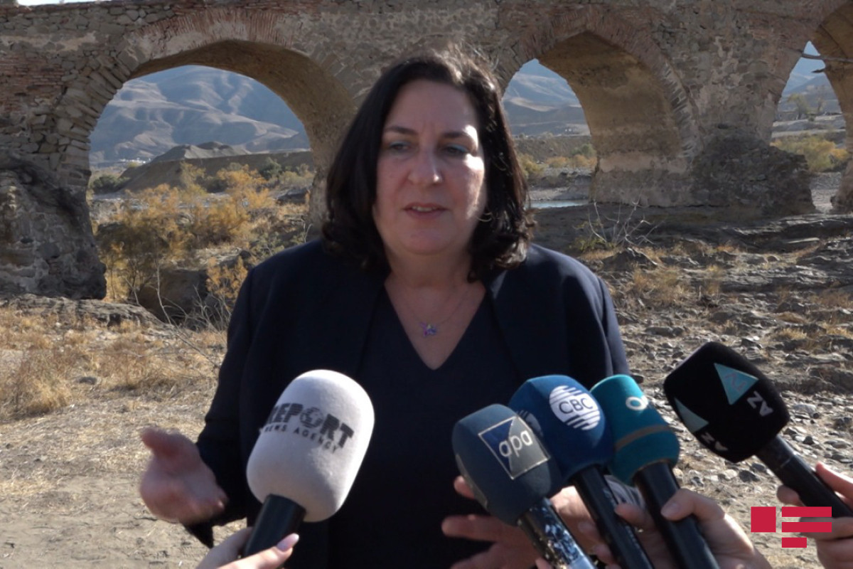 Brenda Şaffer: Ukrayna və Gürcüstana öz ərazilərini terrorçulardan təmizləməyə icazə verilir, lakin Azərbaycana olmaz?