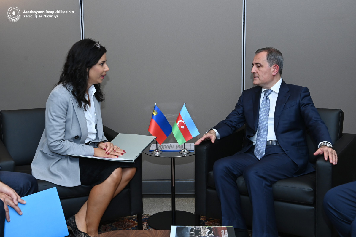 Ceyhun Bayramov Lixtenşteynin xarici işlər naziri ilə görüşüb