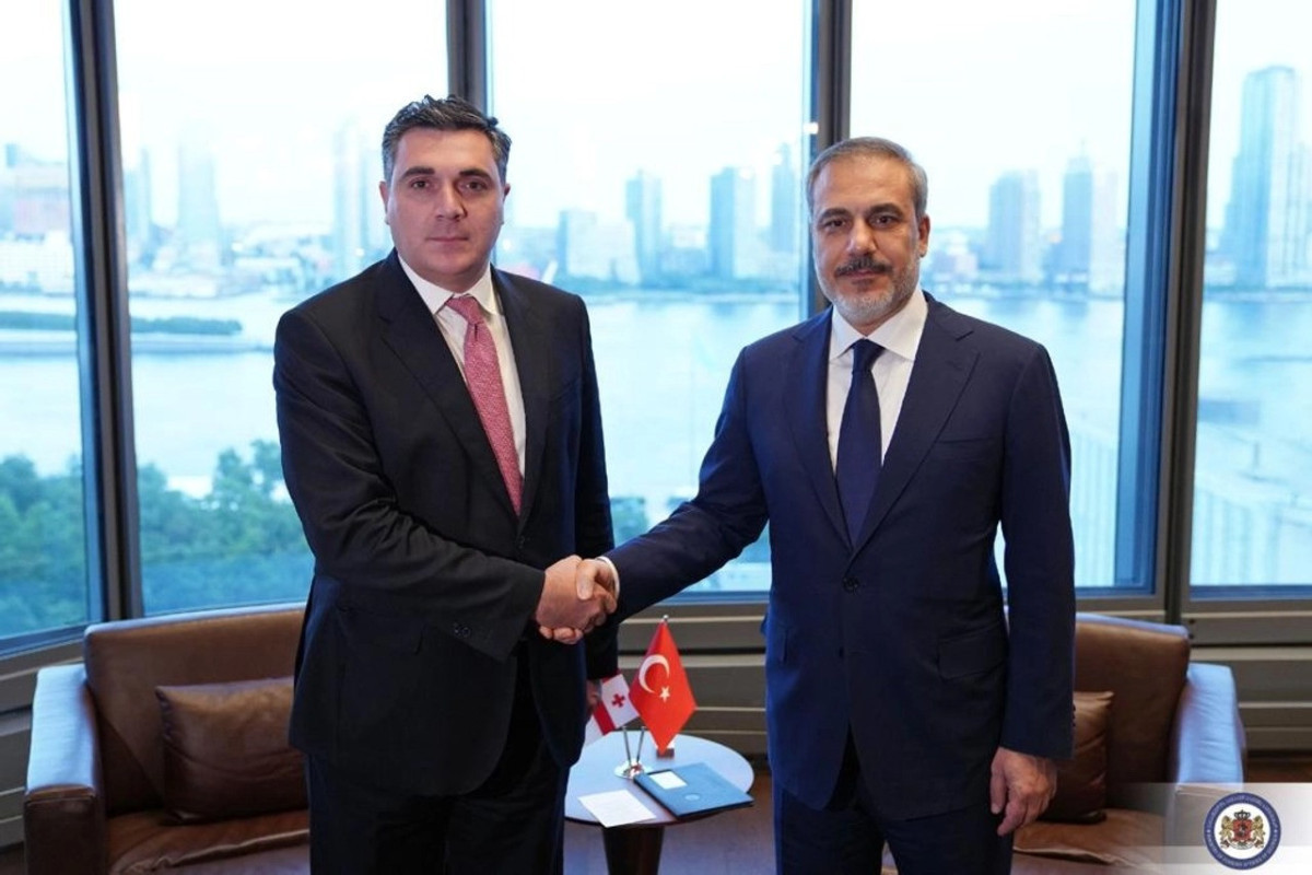Состоялась встреча министров иностранных дел Турции и Грузии