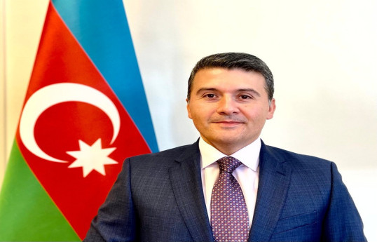 Azərbaycanın Almaniyadakı səfiri Nəsimi Ağayev