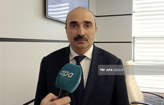 Xidmət rəisi: Söyüdlüdə torpaqların zəbt olunması ilə bağlı müraciət olmayıb