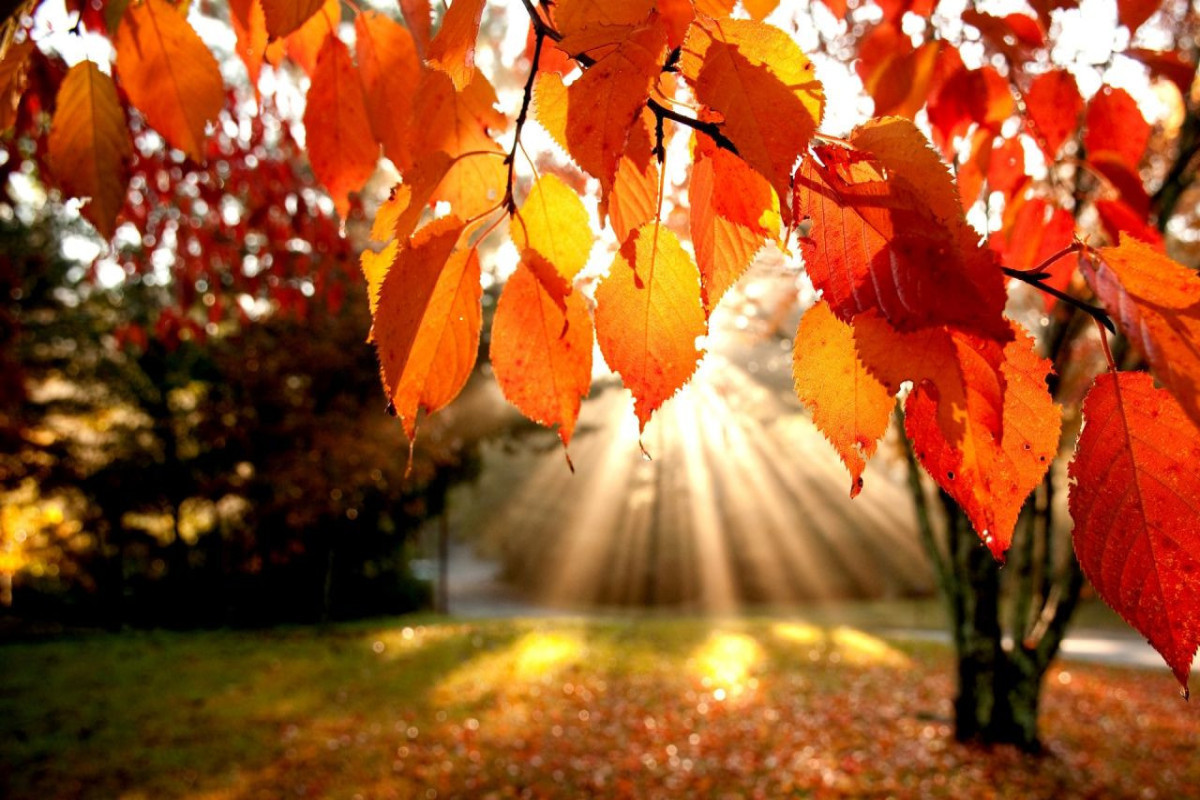 В октябре температура воздуха ожидается близкой к климатической норме -<span class="red_color">ПРОГНОЗ