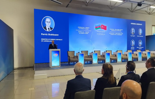 Pərviz Şahbazov: İstifadəyə veriləndən TANAP vasitəsilə 24 mlrd. kubmetr qaz nəql olunub